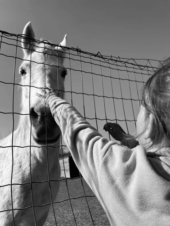 a woman is trying to pet the face of a horse