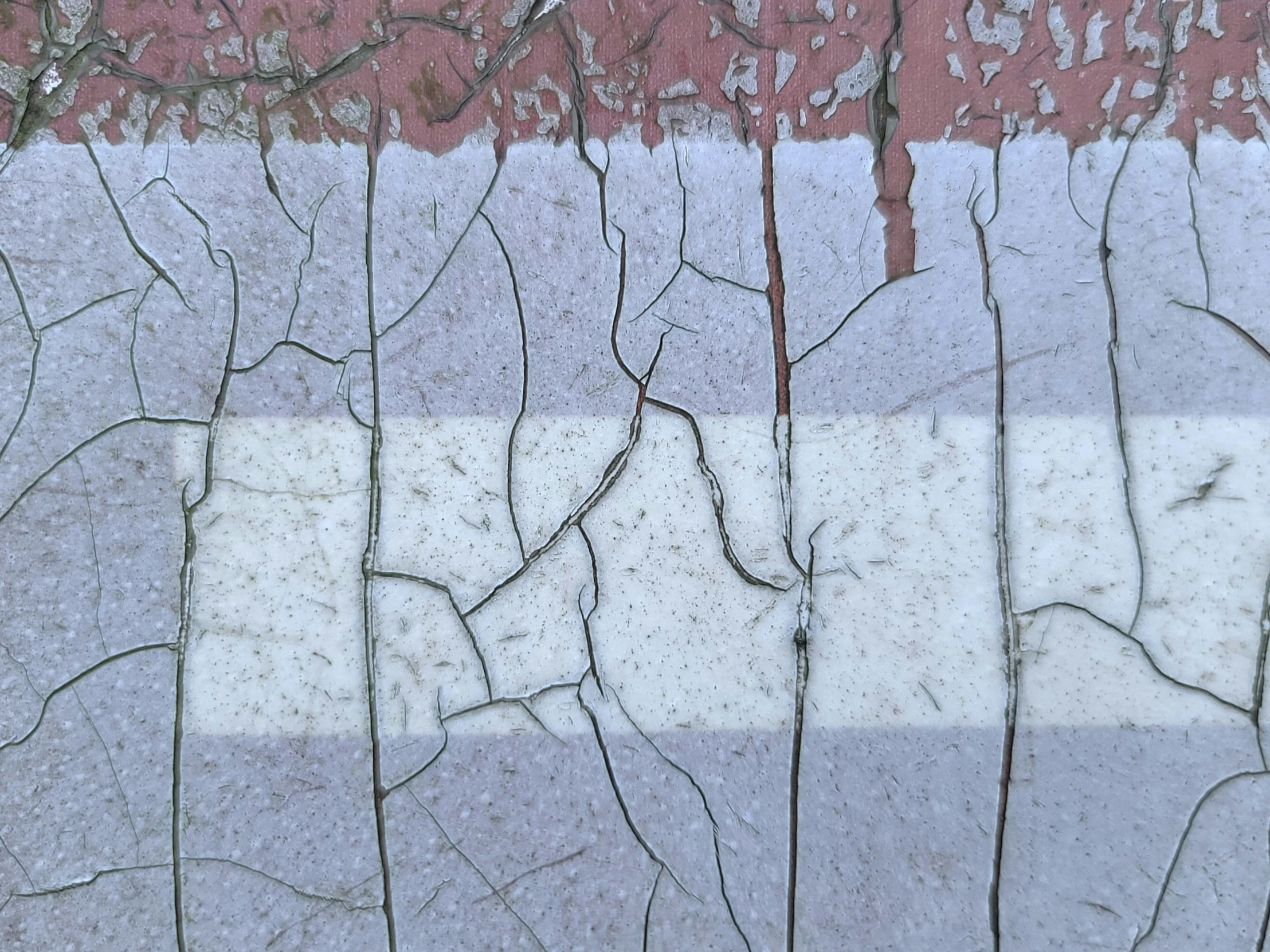 a brick wall with plant vines on the side