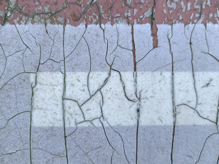 a brick wall with plant vines on the side