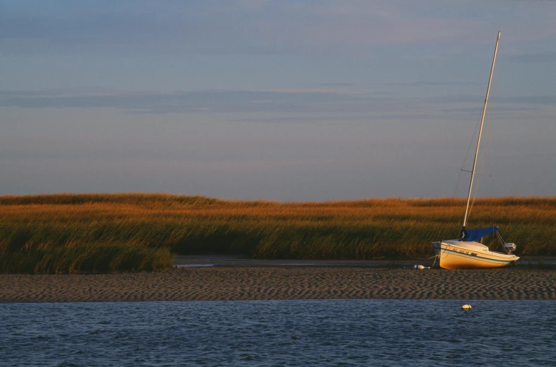 the sailboat is up on the beach by the grass