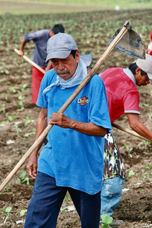 several people in a field with large shovels