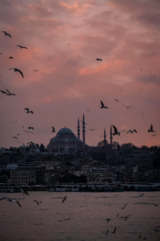 a large flock of birds flying in front of a blue mosque