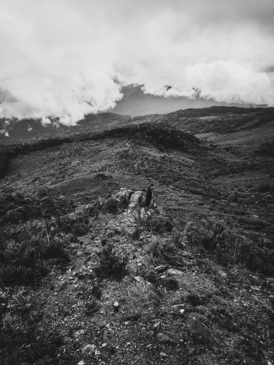 a person walking down the side of a hill