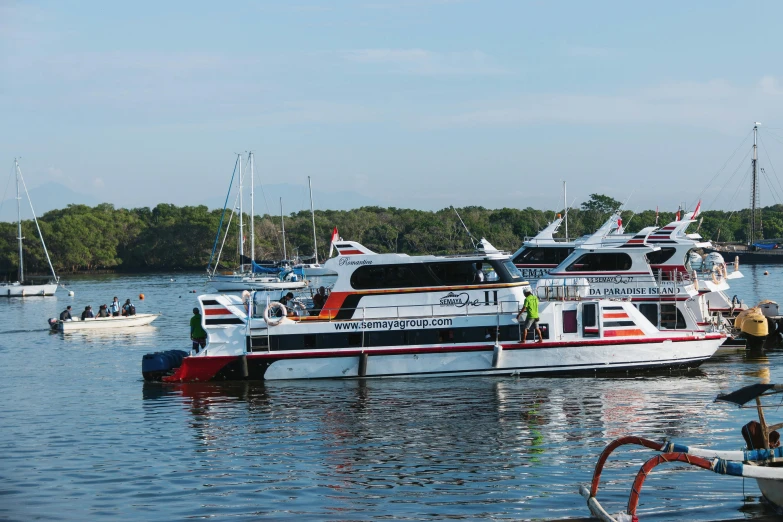 a fleet of boats are docked in the lake