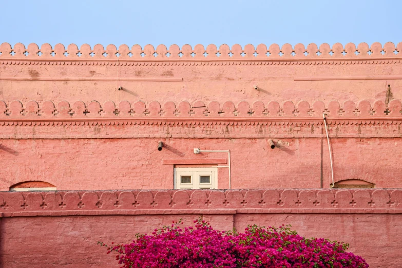 a pink building with red flowered bushes on the front