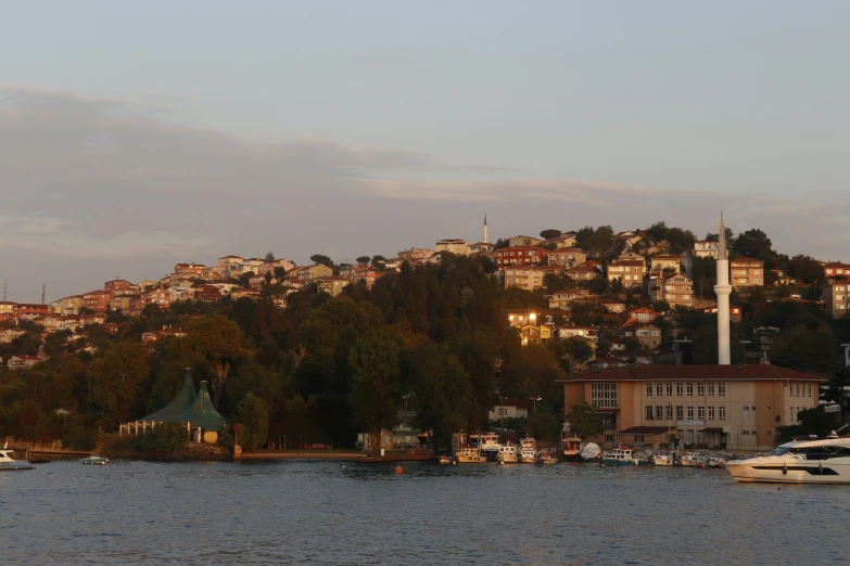 a view of a town from the water