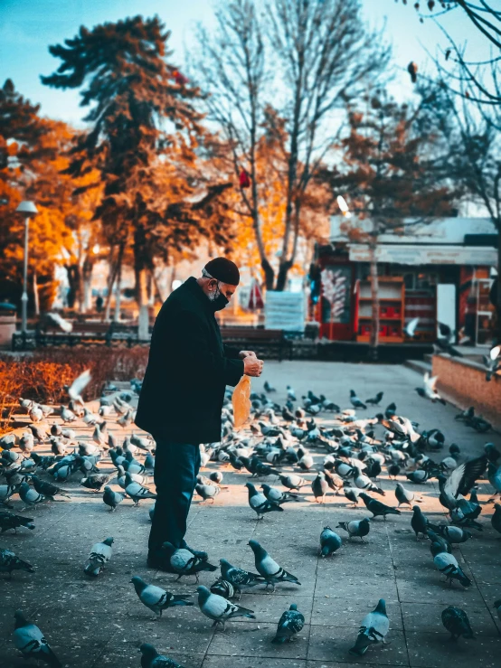 a person standing on a side walk feeding a bunch of pigeons