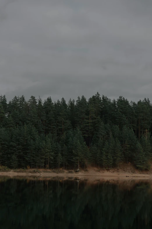 trees reflect off the calm water of a lake