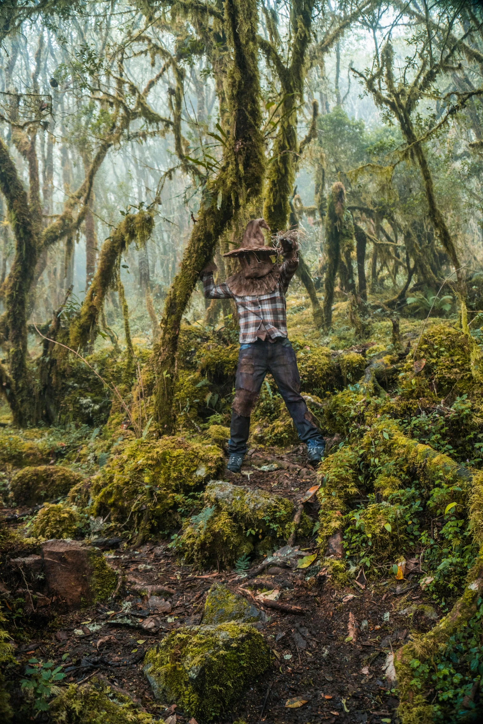 a man in plaid shirt carrying tree nches