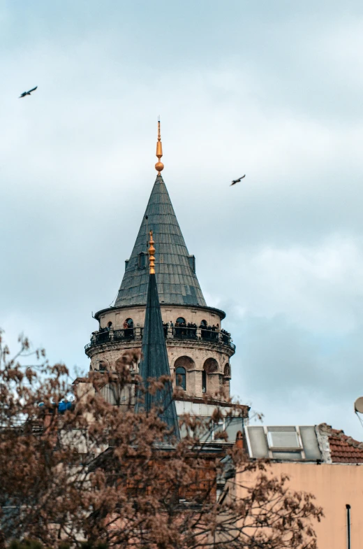 view of a clock tower through a forest