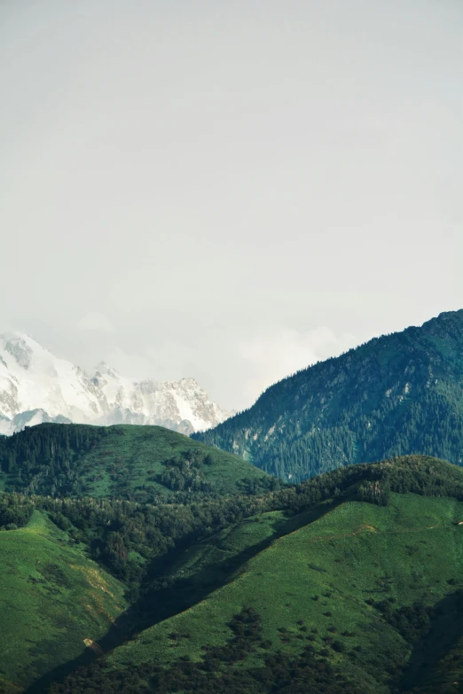 snow capped mountains can be seen in the distance