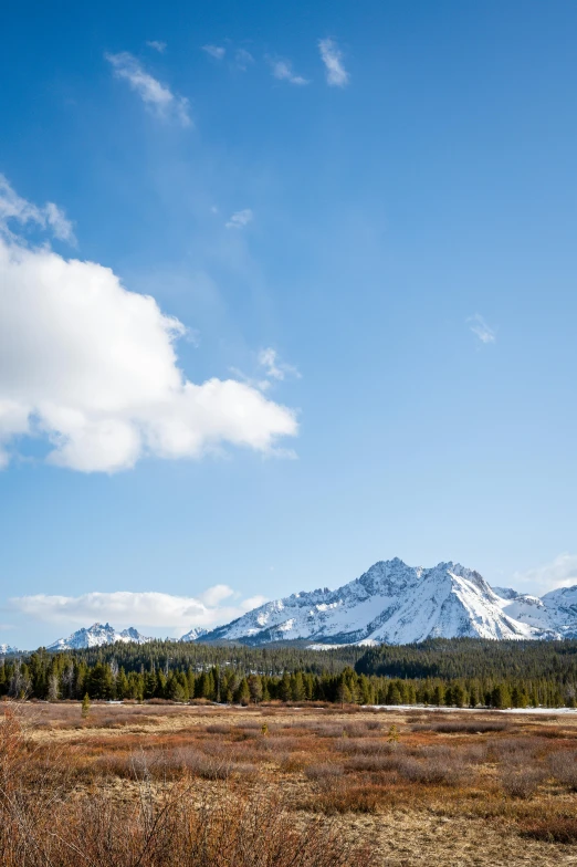 an open meadow, with mountain in the background