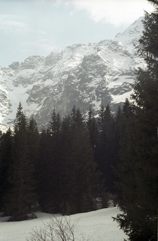 an image of a snowy mountain landscape