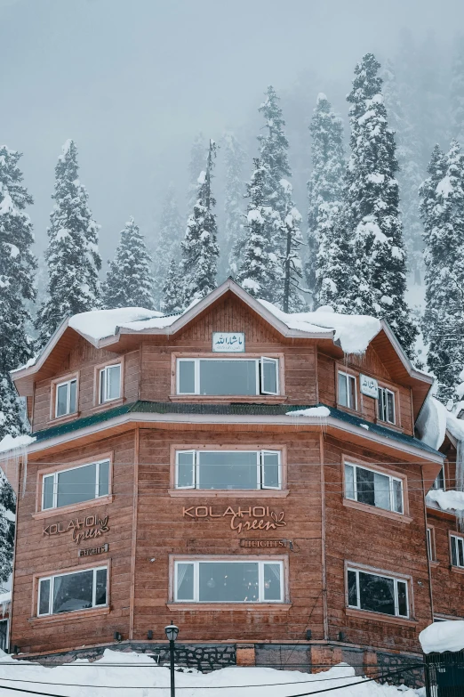 a large wood building surrounded by trees covered in snow