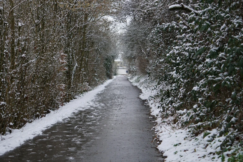 a small road covered in snow between trees