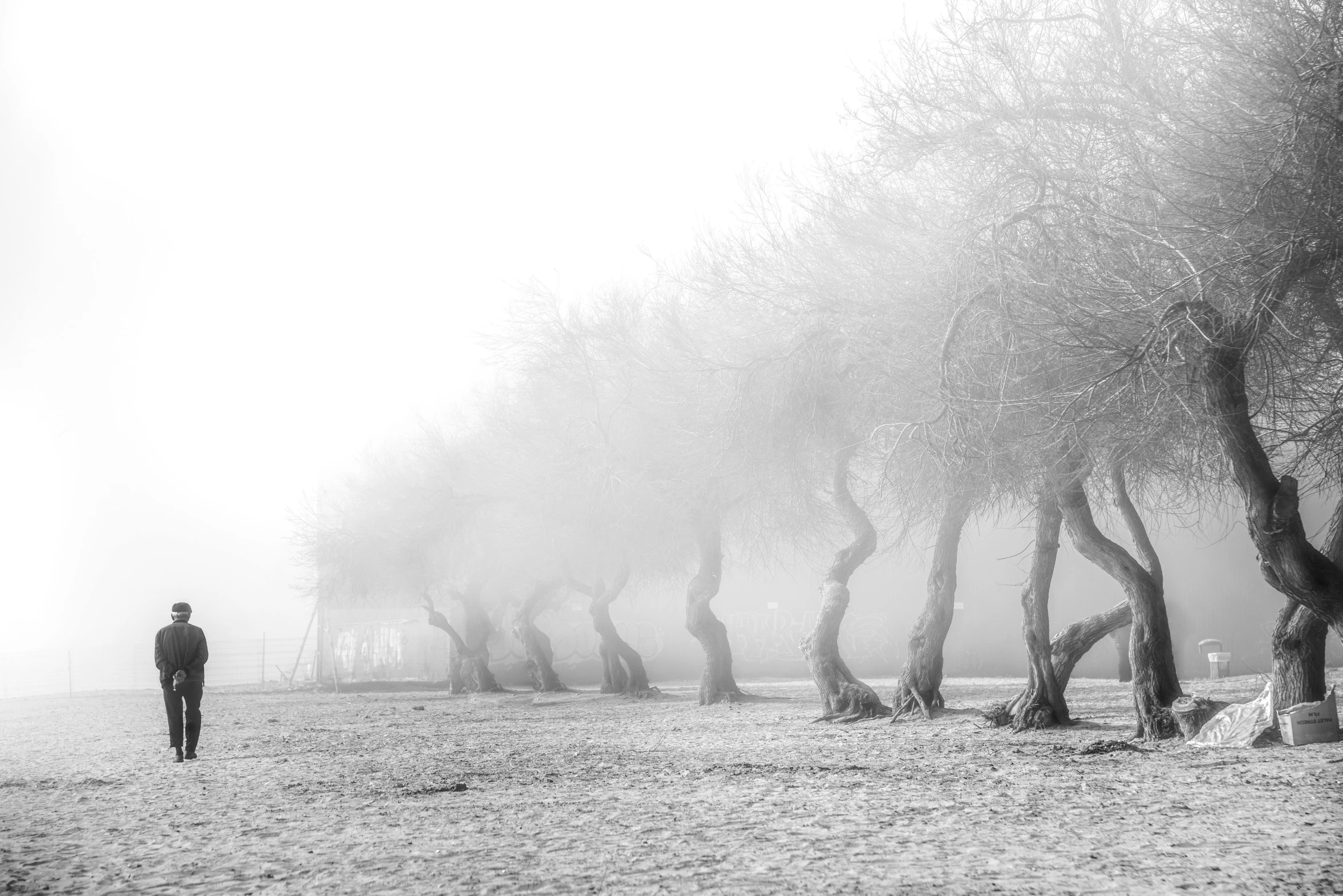 a man walking on a foggy road in front of trees