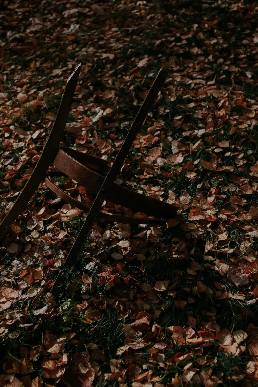 two rusty wooden chairs on the ground with autumn leaves on it