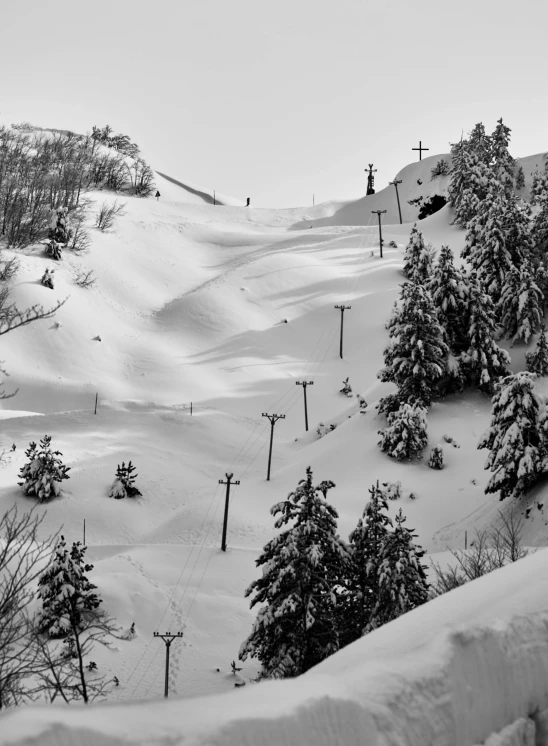 skiers are traveling down the snowy slopes