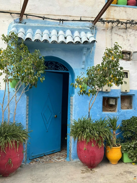 a blue and white house with some potted plants