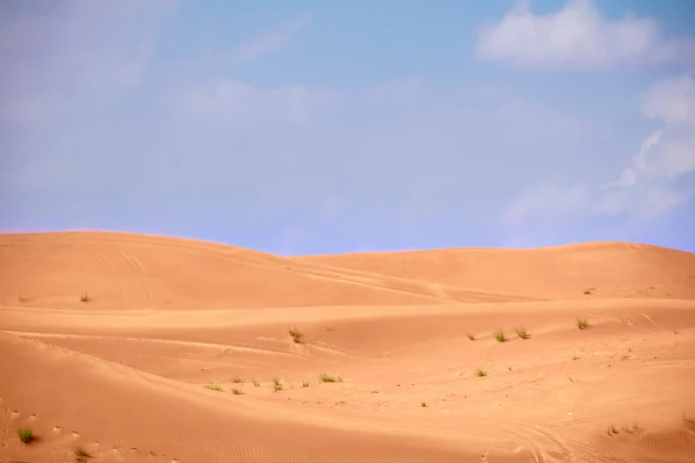 a large brown desert hill with animals and vegetation