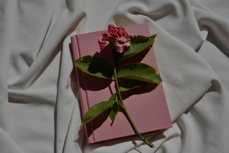 a pink book with flowers on it lying on a bed sheet