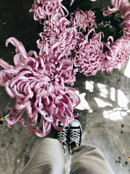 a person standing in front of purple flowers