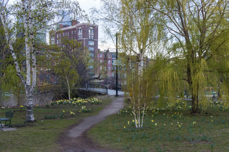 an image of a path in a park