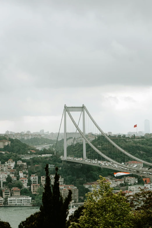 the suspension bridge in a city with hills and trees