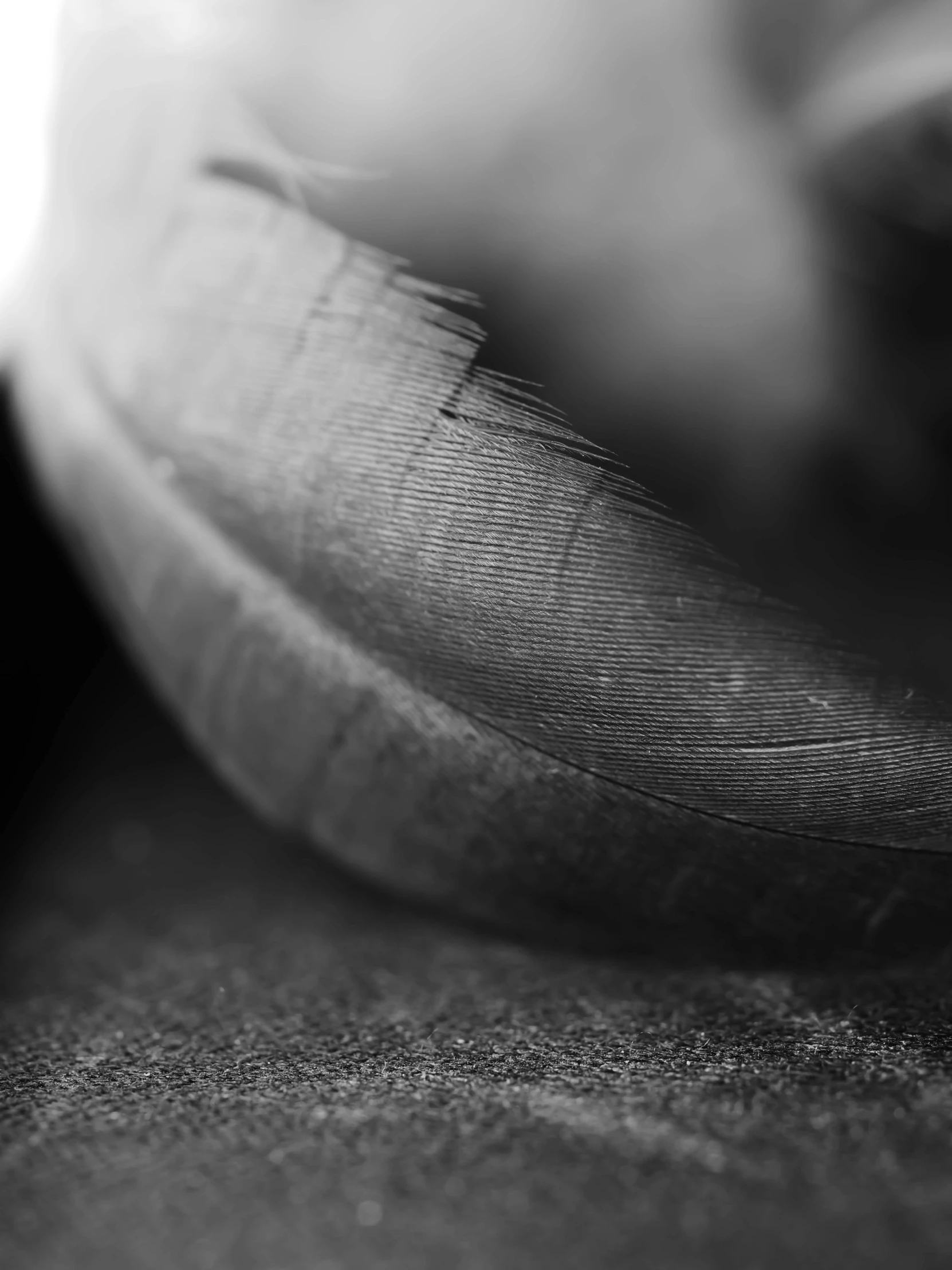 an image of a banana on a counter