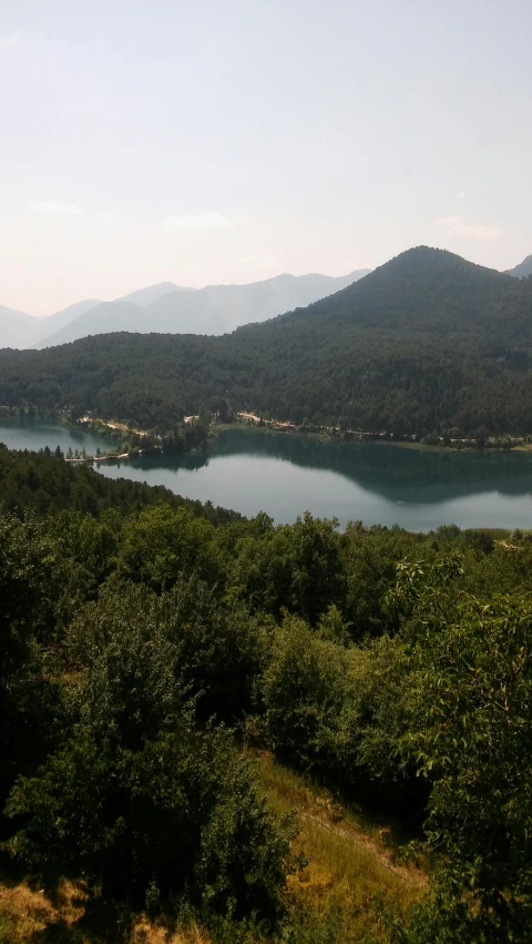 a wide expanse of water in a forest