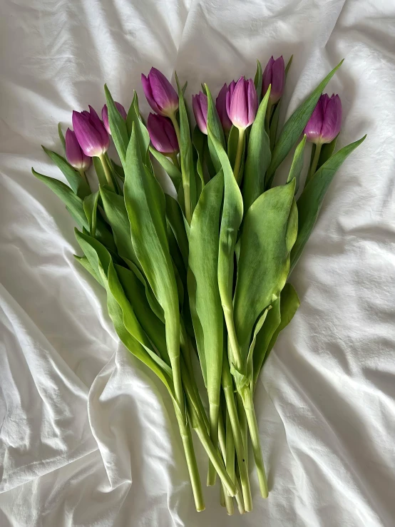 some pink flowers on top of a white sheet