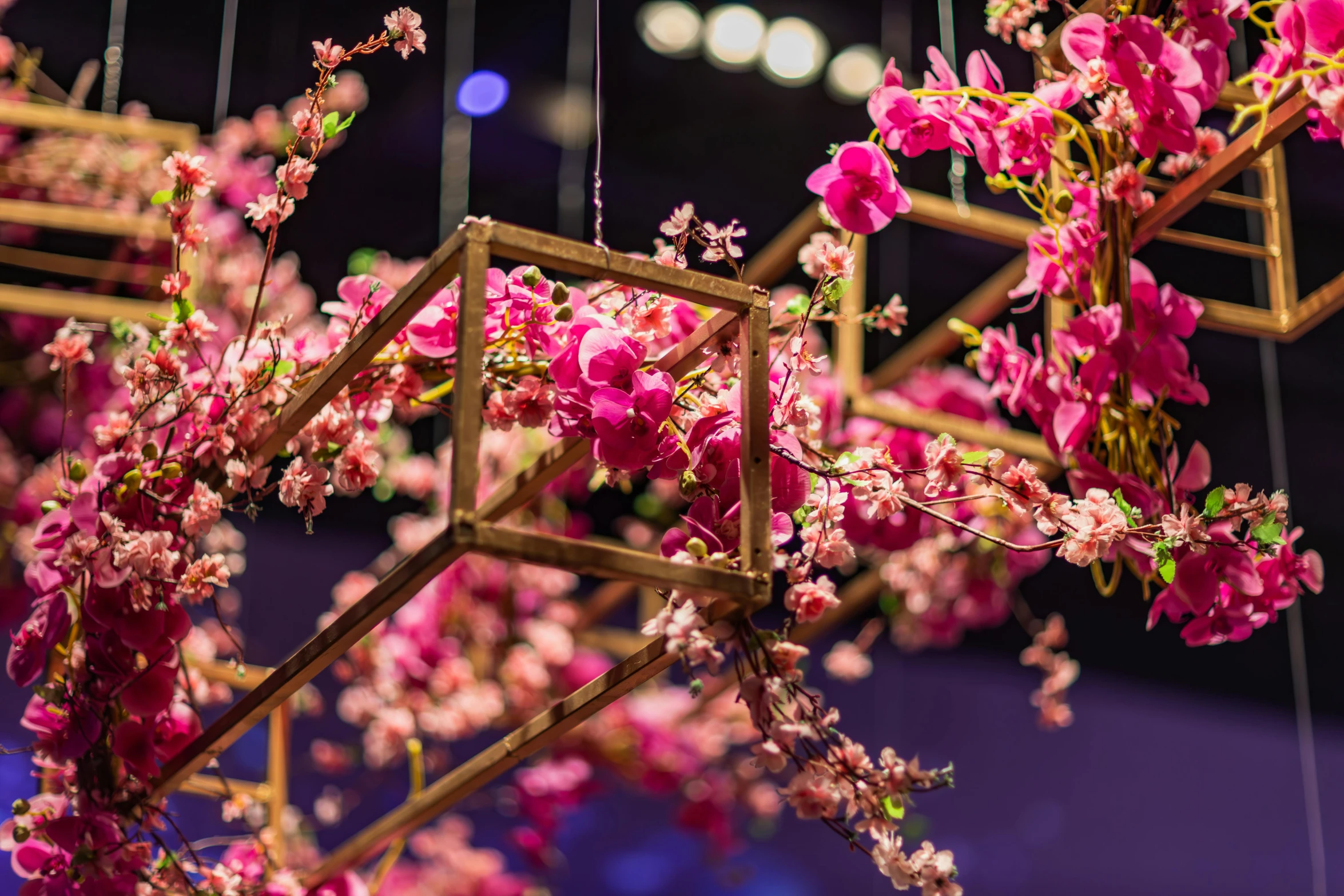 pink flowers are hanging from a gold cage