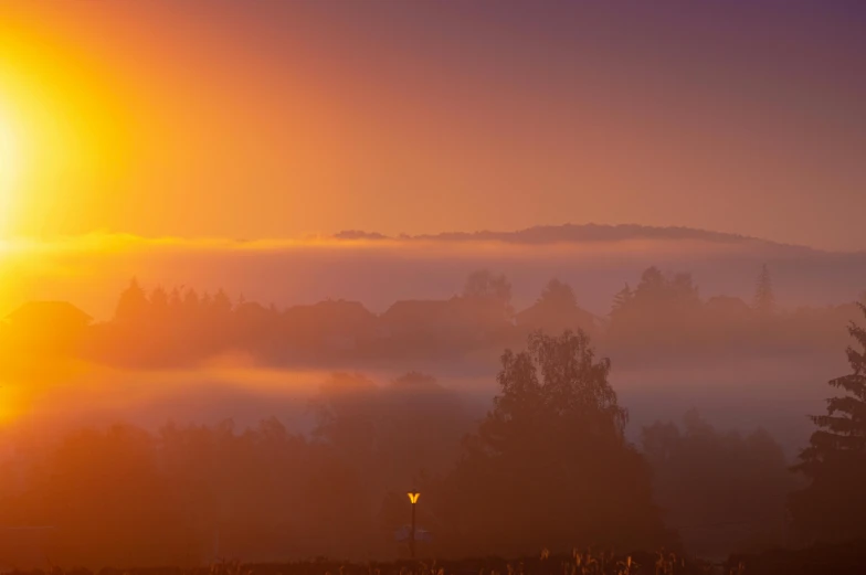 the sun shines brightly over some trees