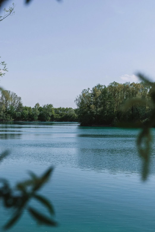 a body of water surrounded by green trees