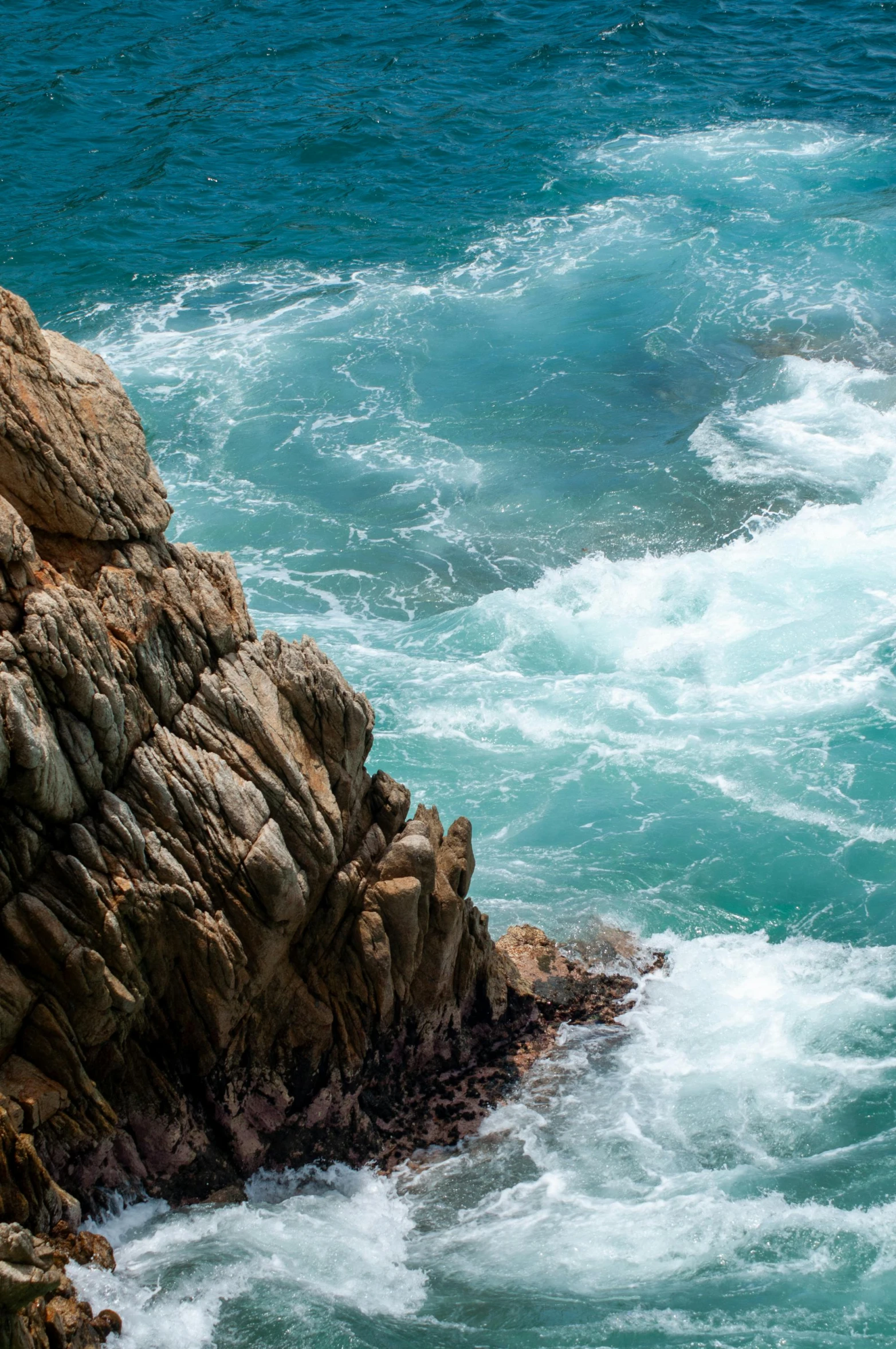 a bird that is standing on some rocks by the water