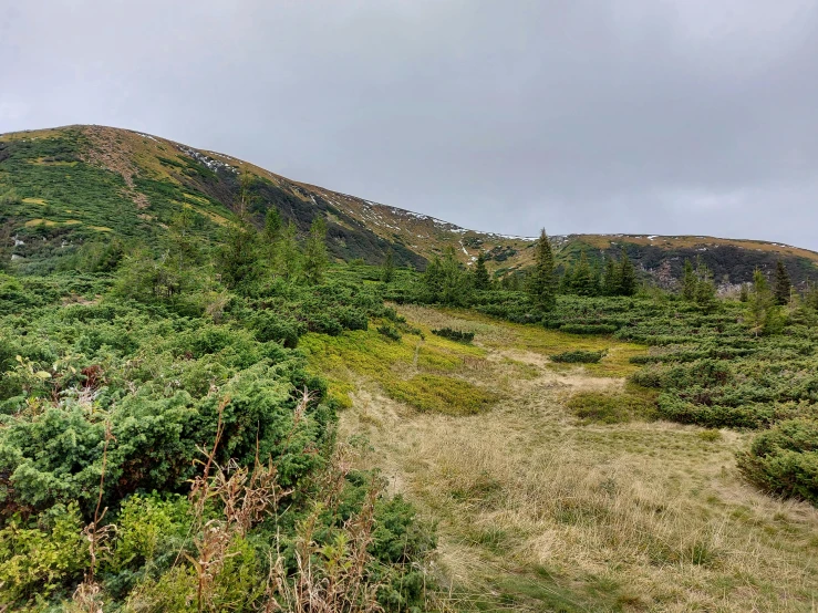 an empty field near a grassy mountain side