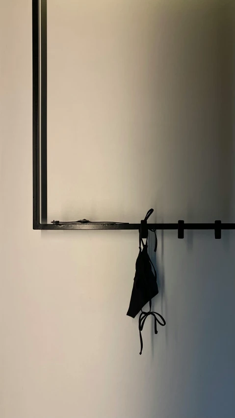 a coat hook sitting on the wall next to a mirror