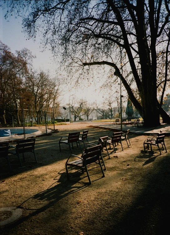 many wooden chairs lined up against the tree