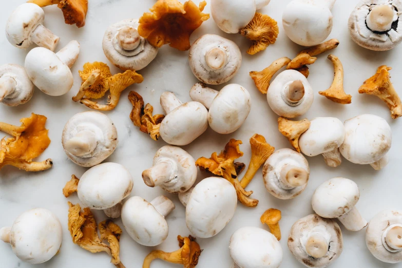 a bunch of small white mushrooms on top of a table