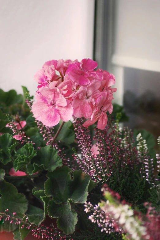 pink flowers sit inside of an open brown container