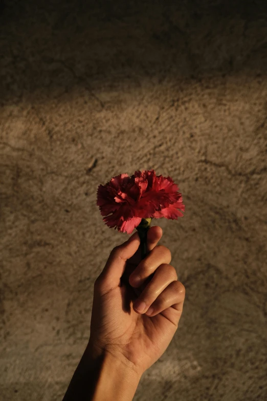 a hand holding a flower in it's palm