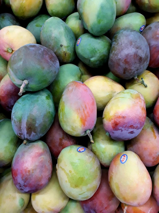 a pile of ripe peaches sitting next to each other