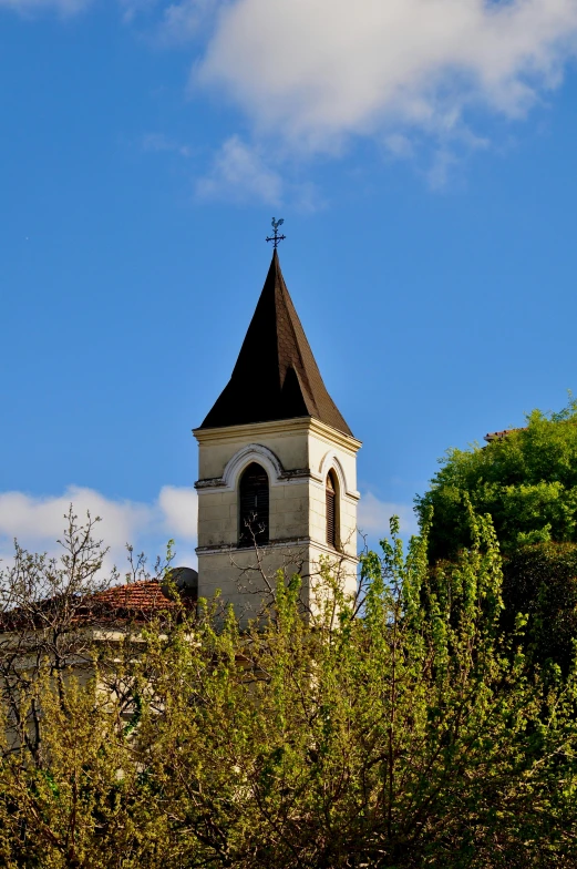 a bell tower on top of a building surrounded by trees