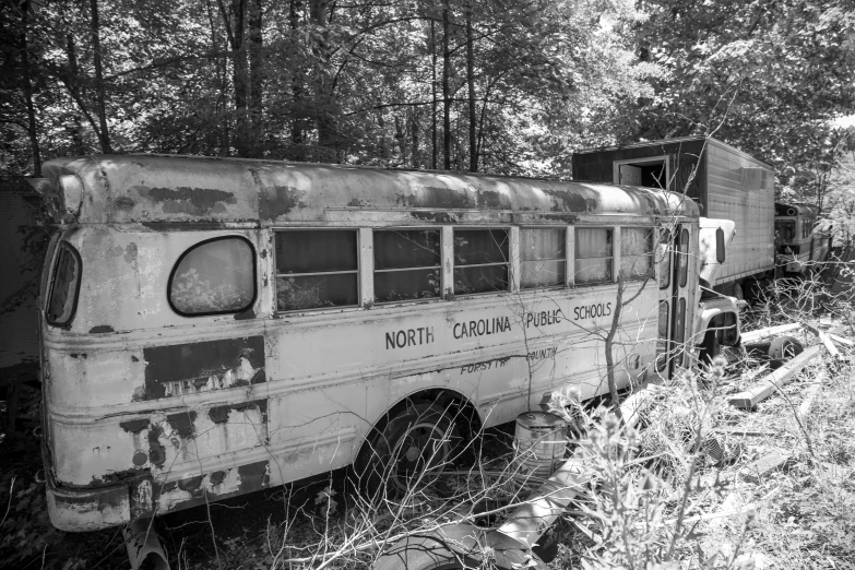 an old, rusted school bus sits in the brush