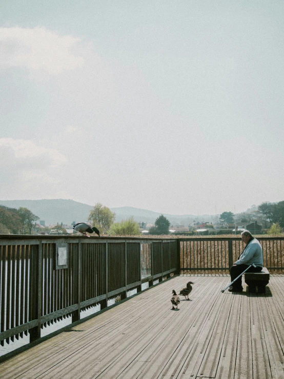 a person sitting on a bench with two small birds