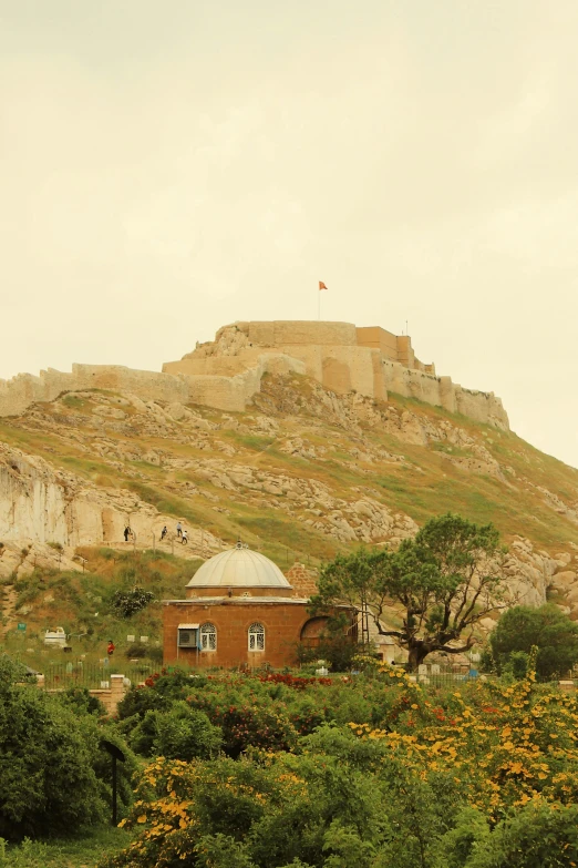 a hillside with a clock tower in the middle