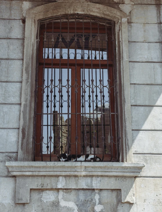 two cats sitting in front of the iron bars of an apartment
