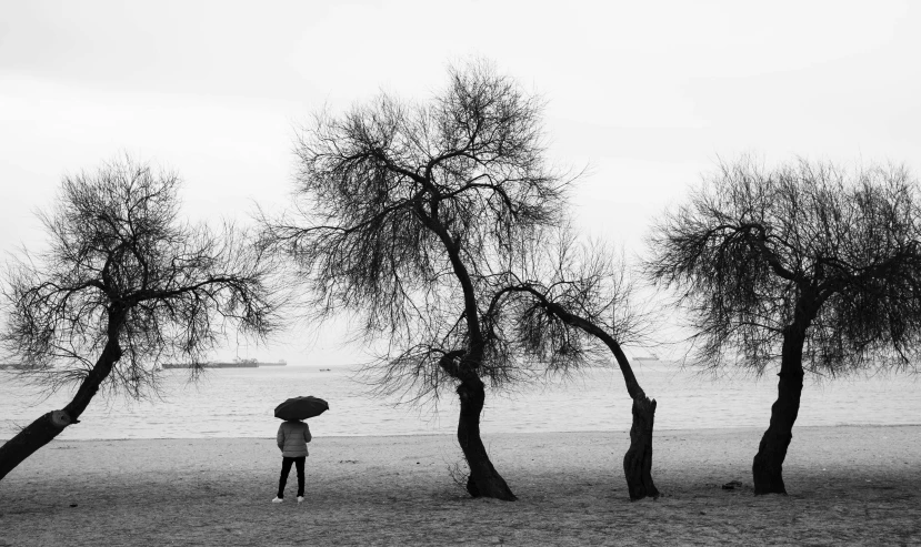 a woman standing under three trees while holding an umbrella