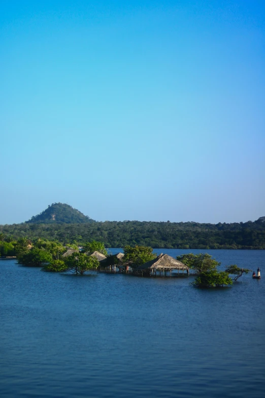 an island near water and surrounded by trees