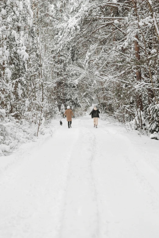 two people walking down a snowy road in a wooded area